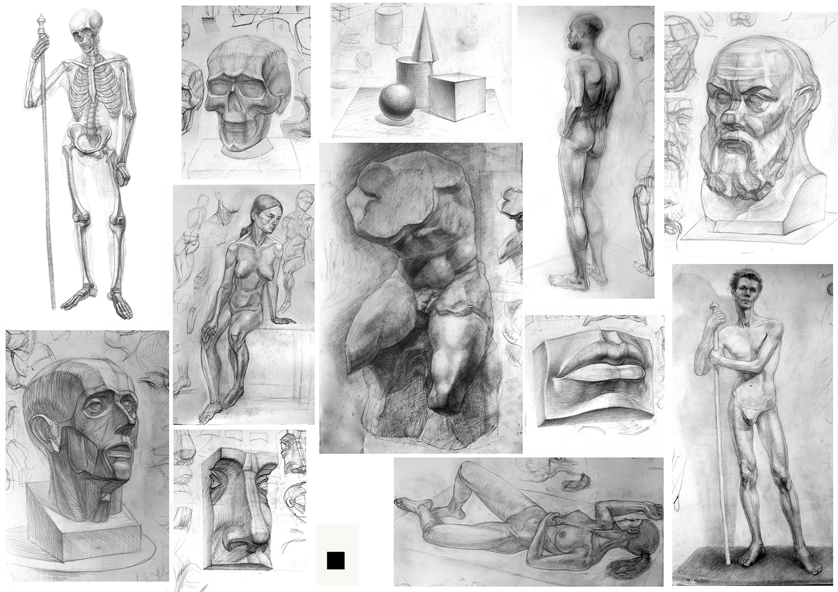 Могилевцев анатомия фигуры человека