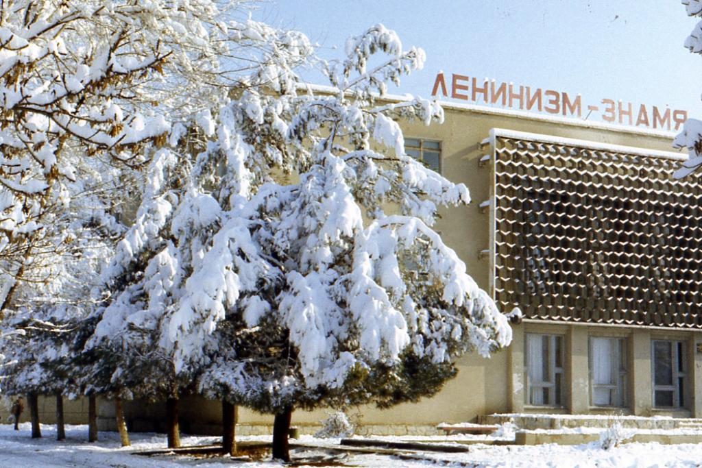 Погода в навои. Навои город нашей юности. Навои город в Узбекистане. Музыкальная школа Навои. Навои гора Пикушка.