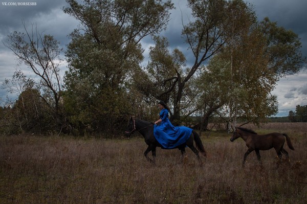 Галактика, девушка в синем платье и, конечно же, - Жеребяш!

#horses #лошади #животные #animals #фотосессия #поле #трава #луг #осень #сентябрь #Россия #Russia #Рязанская #Спасский #гнедая #кобыла #Галактика #верхом #прогулка #гнедой #жеребёнок #Витяз #Жеребяш #мерин #Голиаф #фотограф #КТК #Верхом_по_Мещёре #село #Орехово