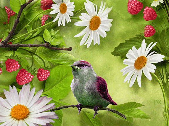 Весной веселой пели птицы. Доброе летнее утро птицы. Доброе утро птицы поют. Открытки пожелания с птичками. Прекрасного дня с птичками.
