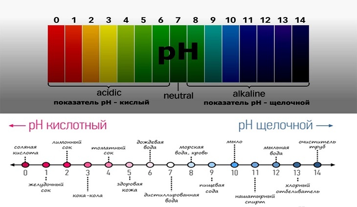 Кислотность водорода. Шкала кислотности ПШ. Кислотно щелочная шкала PH. PH кислая щелочная нейтральная. Шкала кислотности-щелочности (PH)..