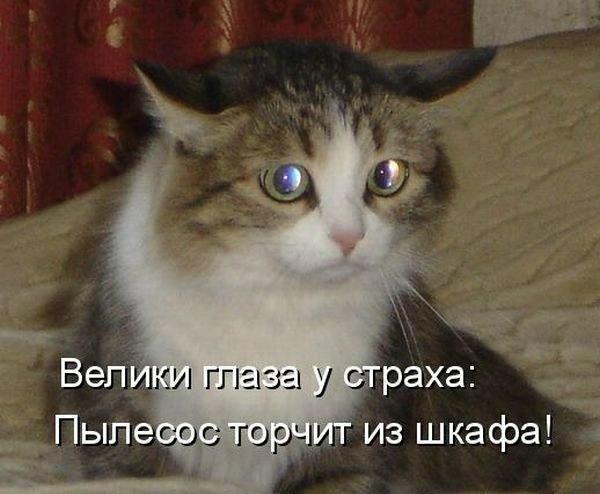 Мне стыдно картинки с надписями, днем молодежи