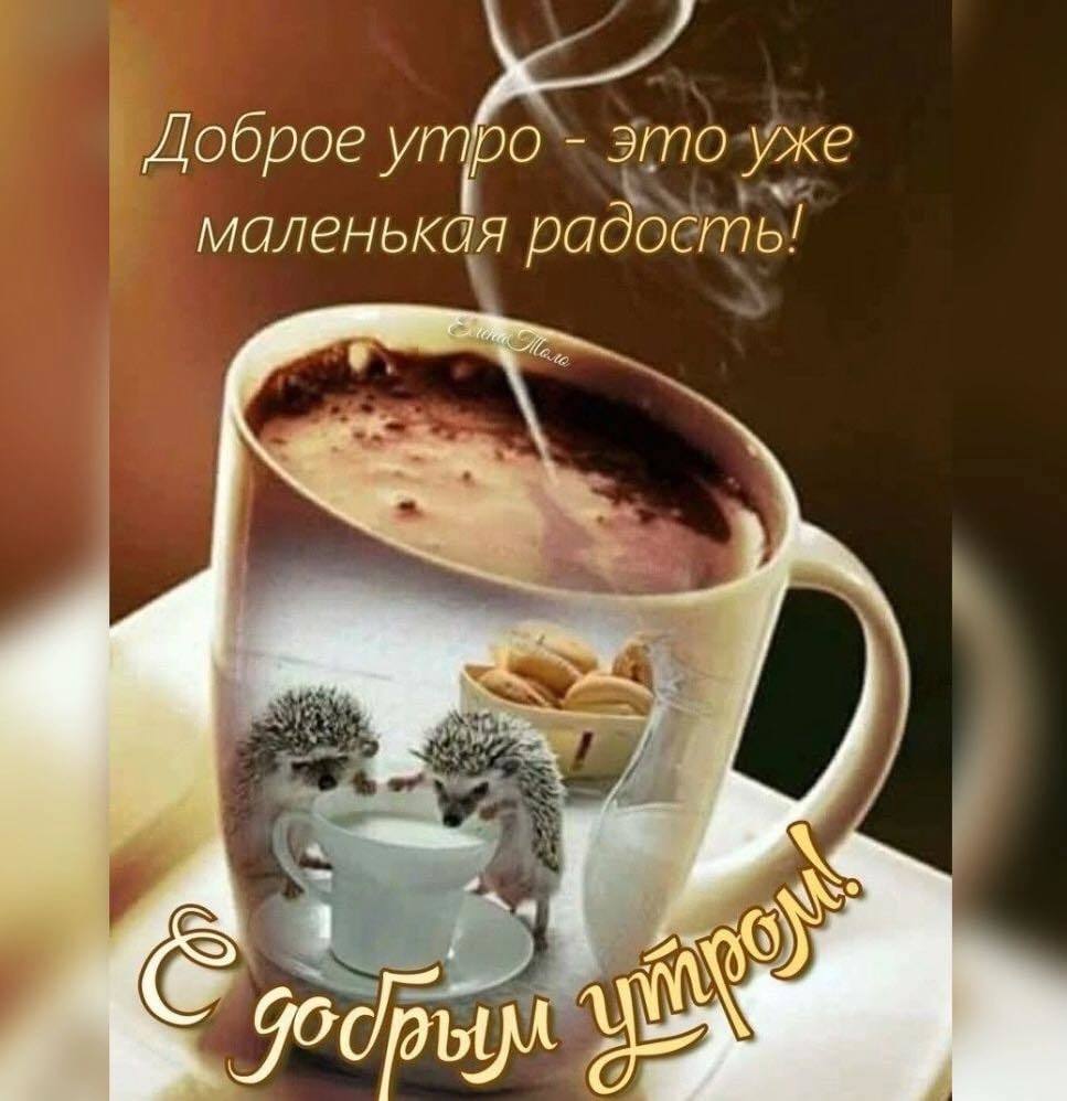 Доброе утро в контакте